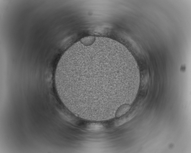 X0000103150749200809192029