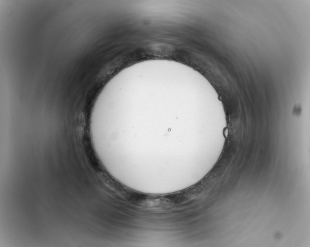 X0000103150752200809192029