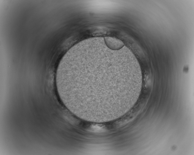 X0000103150753200809192029