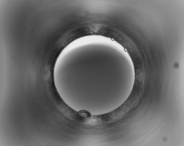 X0000103150754200809192029