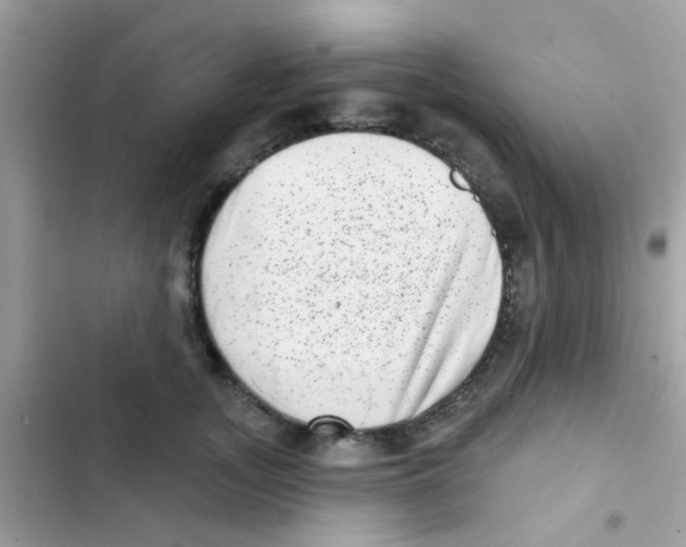 X0000103150755200809192029