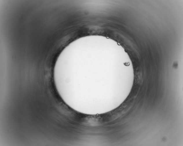 X0000103150756200809192029