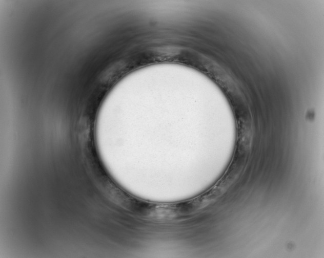 X0000103150758200809192029