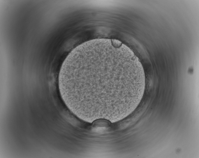 X0000103150759200809192029