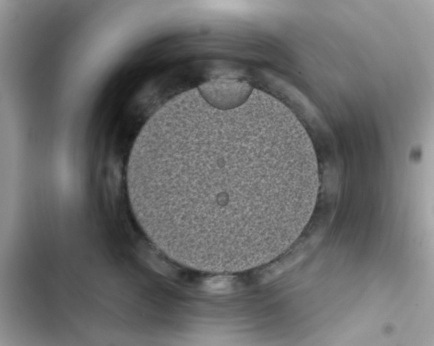 X0000103150761200809192029