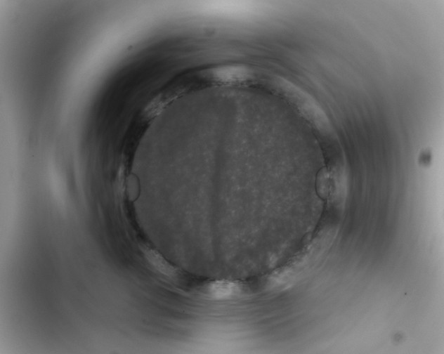 X0000103150762200809192029