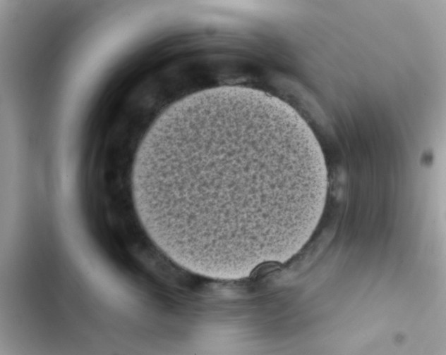 X0000103150763200809192029