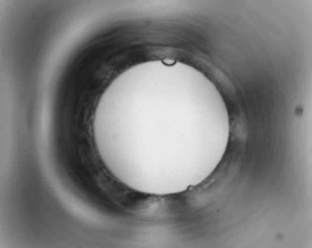 X0000103150764200809192029