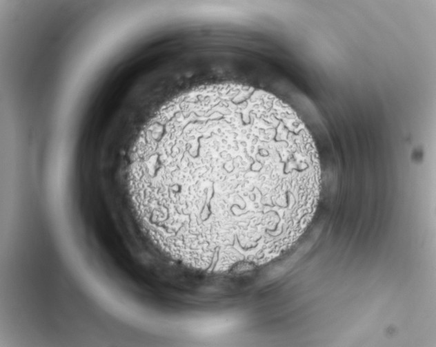 X0000103150765200809192029