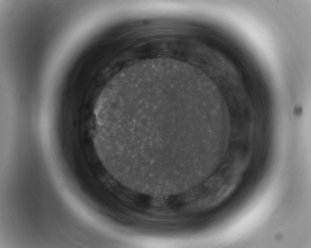 X0000103150766200809192029