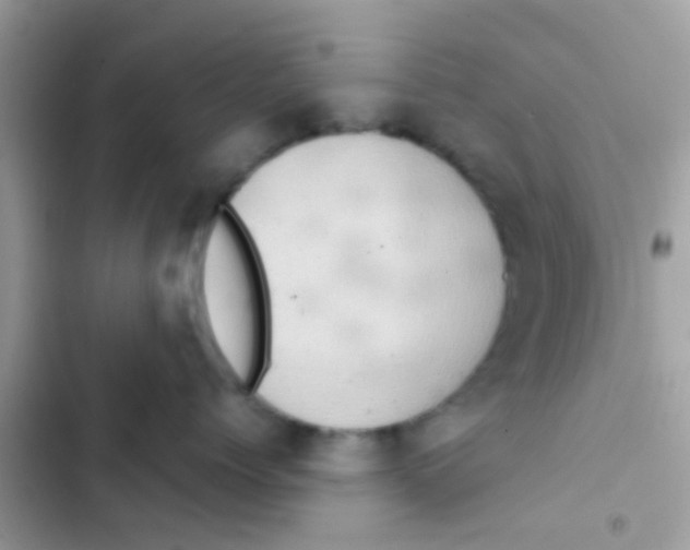 X0000103150768200809192029