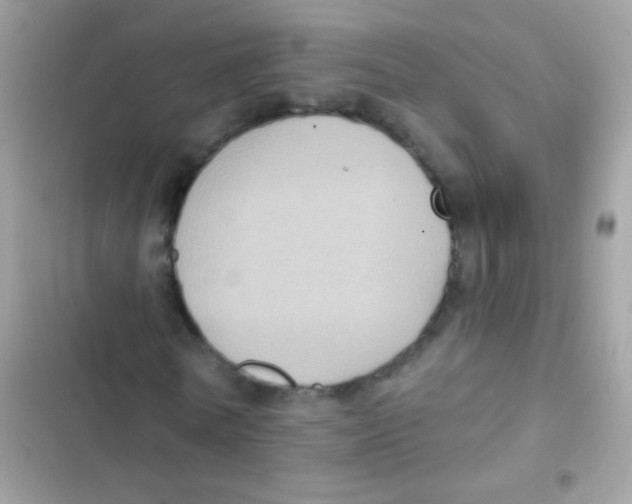 X0000103150770200809192028