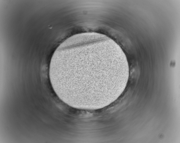 X0000103150772200809192028