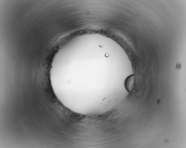 X0000103150773200809192028