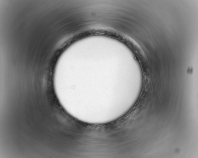 X0000103150775200809192028