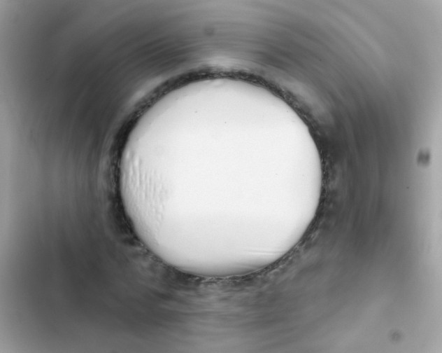 X0000103150776200809192028