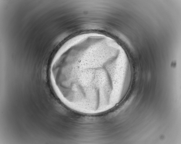 X0000103150777200809192028