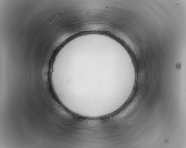 X0000103150778200809192028