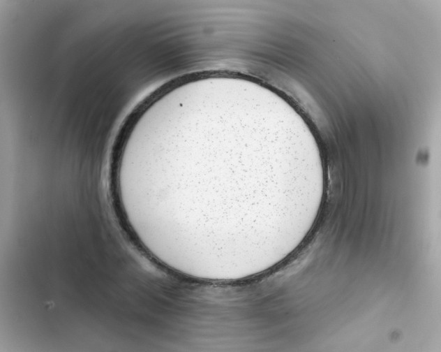 X0000103150780200809192028