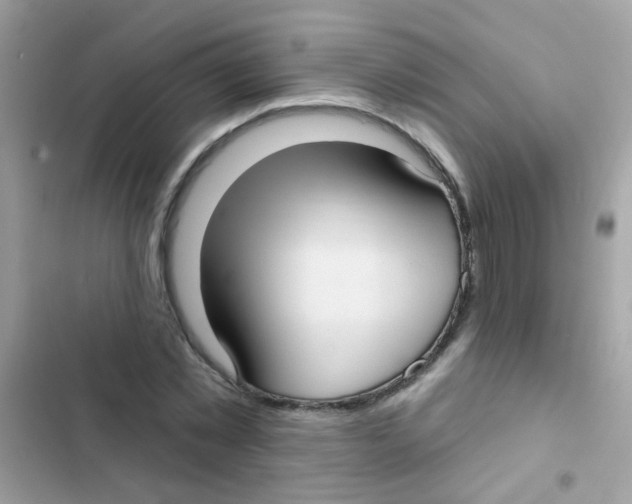 X0000103150781200809192028