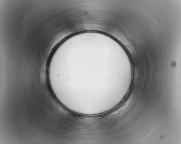 X0000103150782200809192028