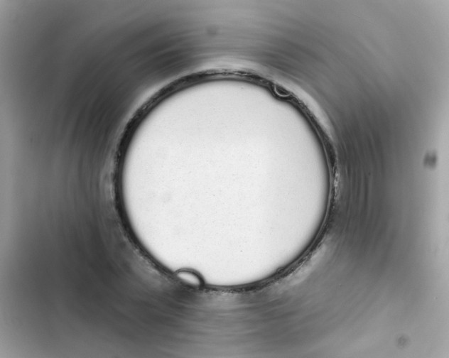 X0000103150783200809192028