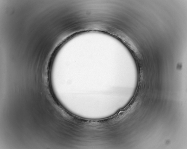 X0000103150784200809192028