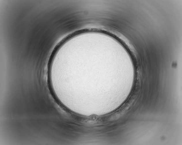 X0000103150791200809192028