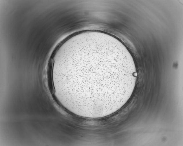 X0000103150792200809192028