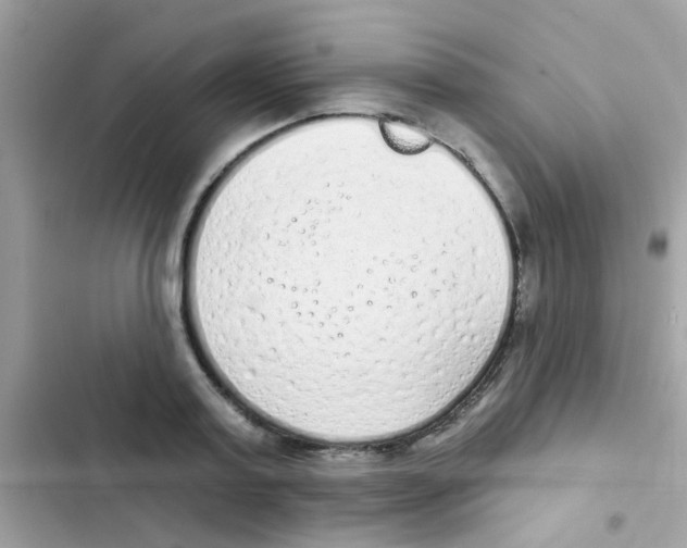 X0000103150795200809192028