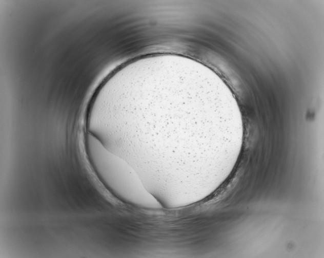 X0000103150796200809192028