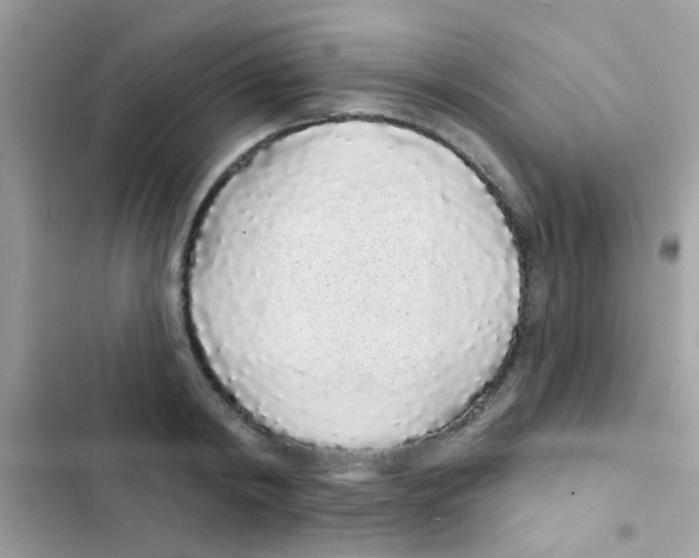 X0000103150798200809192028