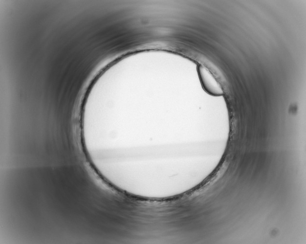 X0000103150800200809192028