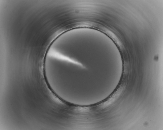 X0000103150802200809192028