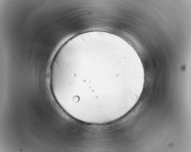 X0000103150804200809192028