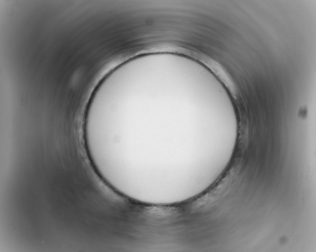 X0000103150805200809192028