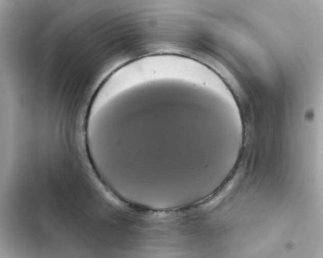 X0000103150806200809192028