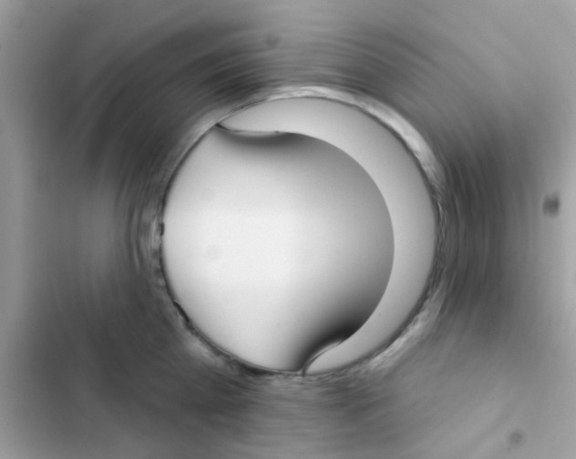 X0000103150809200809192028