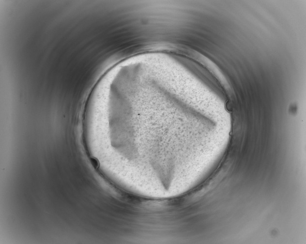 X0000103150810200809192028