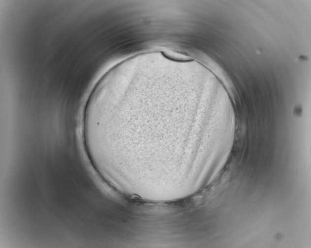 X0000103150811200809192028