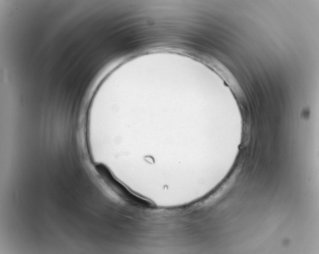 X0000103150812200809192028