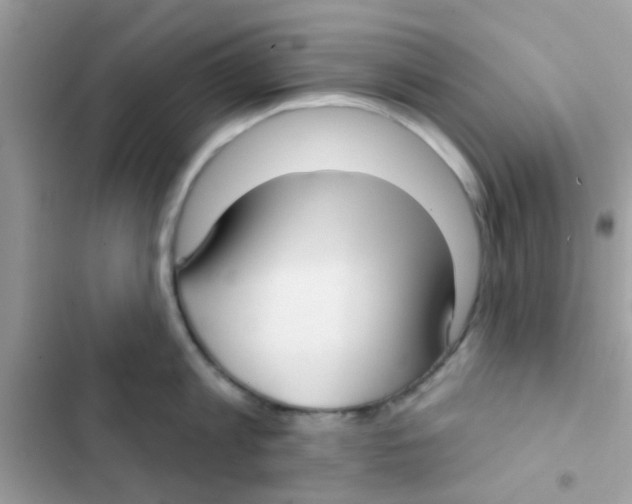 X0000103150813200809192028