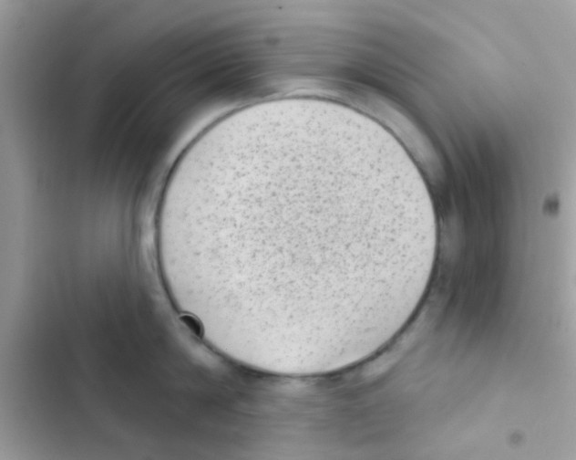 X0000103150814200809192028