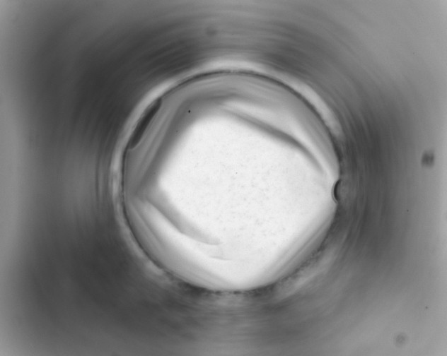 X0000103150815200809192028