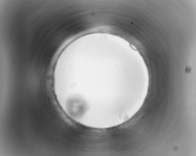 X0000103150816200809192028