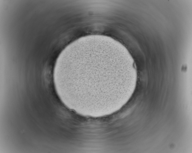 X0000103150818200809192027