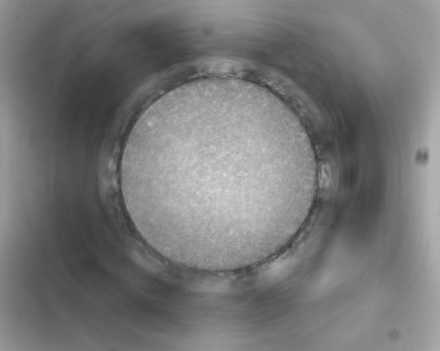 X0000103150820200809192027