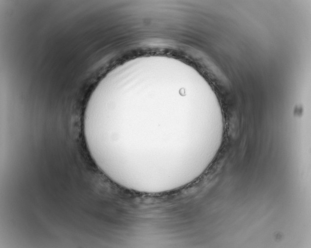 X0000103150821200809192027