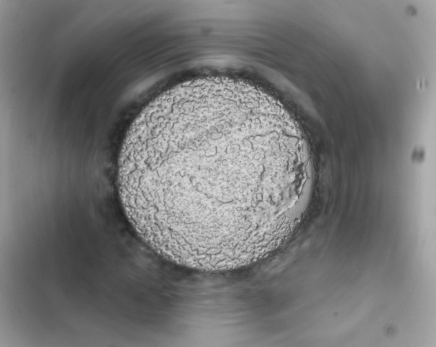 X0000103150822200809192027