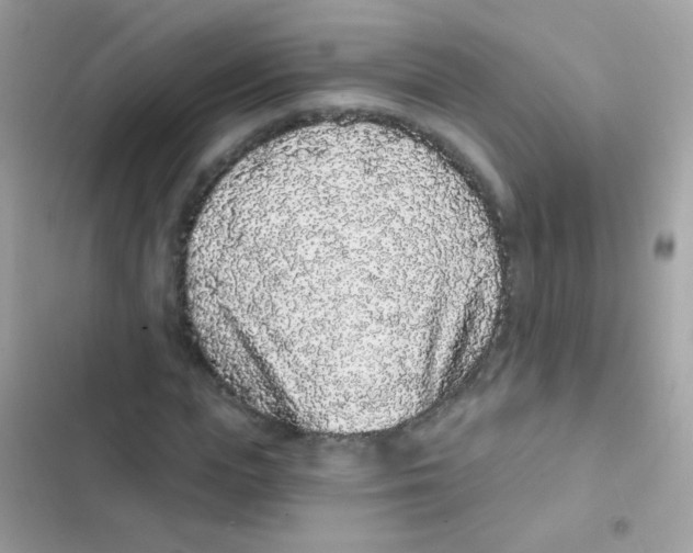 X0000103150823200809192027